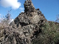 iara Scorciavacca-20110306 057